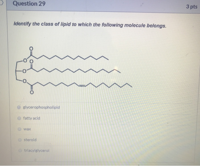 Which Of The Following Are Lipids Weegy