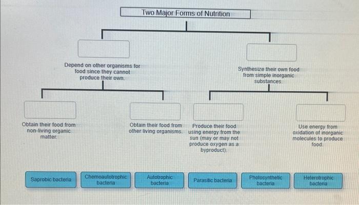 Solved Depend on other organisms for food since they cannot | Chegg.com