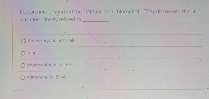 Solved Researchers sequenced the DNA inside a chloroplast. | Chegg.com