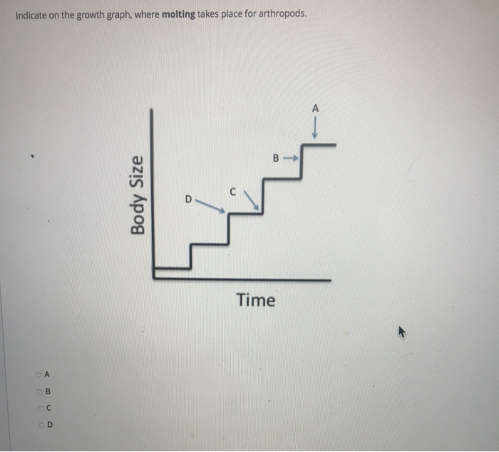 Molting Graph Insect Solved Indicate on the growth graph, where molting takes | Chegg.com