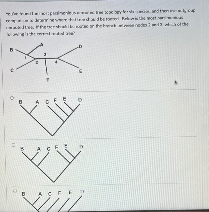 Latest CFE Study Plan