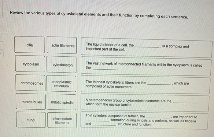 Solved Review the various types of cytoskeletal elements and | Chegg.com