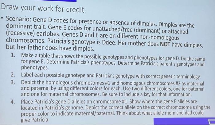 Solved Uraw your work for credit. Scenario: Gene D codes for | Chegg.com
