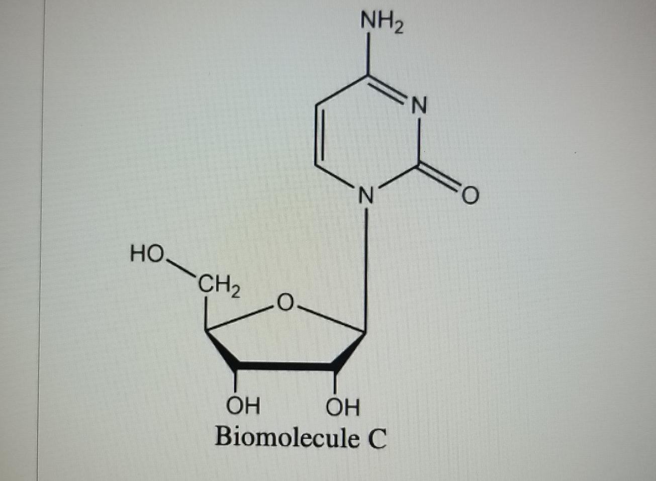 Solved O H3C NH N Biomolecule A COOH NH2 N H Н Biomolecule | Chegg.com, image size:1305x957
