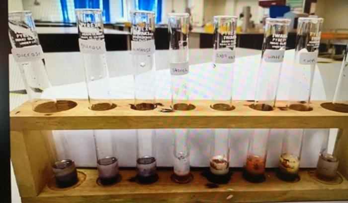 Solved CARBOHYDRATE ANALYSIS ; Observe the colour changes | Chegg.com