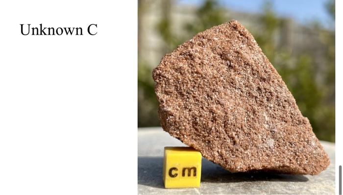 Solved Describe Unknown C. Include information about it's | Chegg.com
