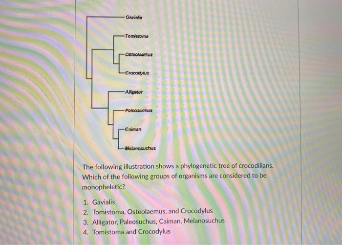 Solved Gavini -Tomatome -Cetealeamua Crocod -Aligntor | Chegg.com