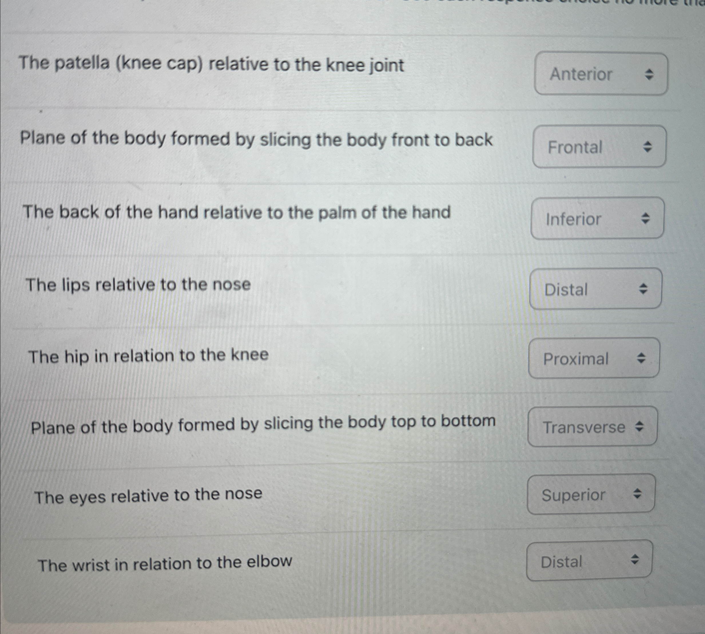 Solved The patella (knee cap) ﻿relative to the knee | Chegg.com