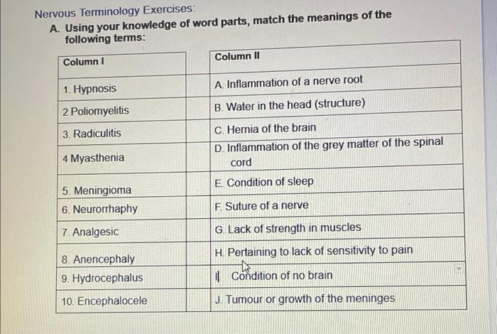 solved-nervous-terminology-exercises-a-using-your-know