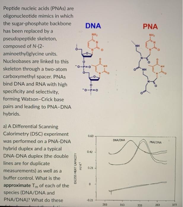 DNA PNA NH NH Peptide nucleic acids (PNAs) are | Chegg.com