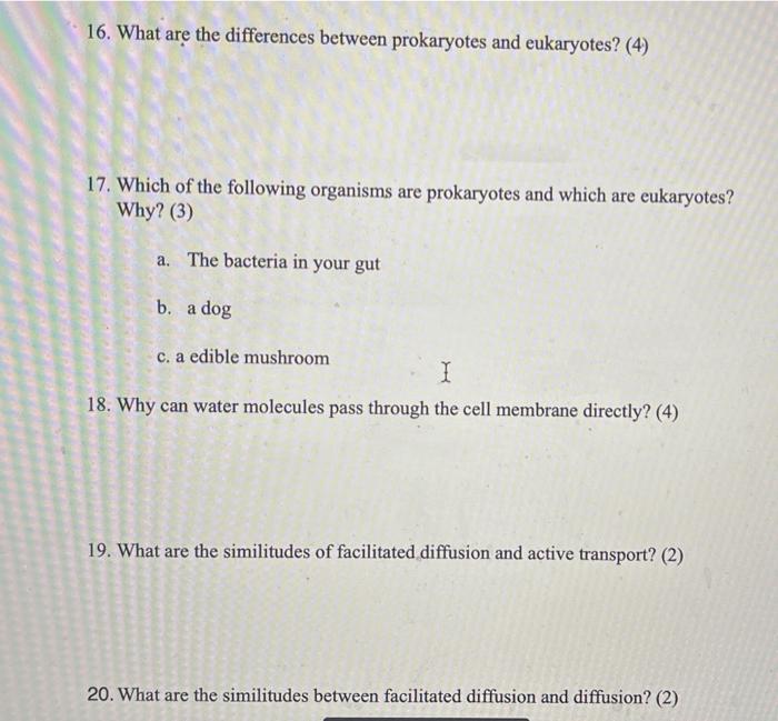 Solved 16. What are the differences between prokaryotes and | Chegg.com