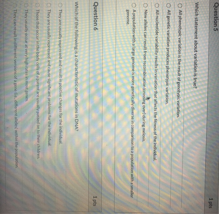 Solved Question 1 1 pts When an individual possesses two | Chegg.com