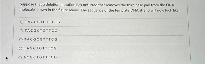 Suppose that a deletion mutation has occurred that | Chegg.com
