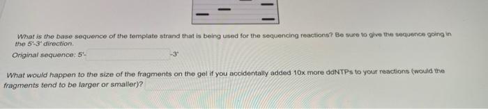 Solved You are given a short fragment of DNA to sequence. | Chegg.com