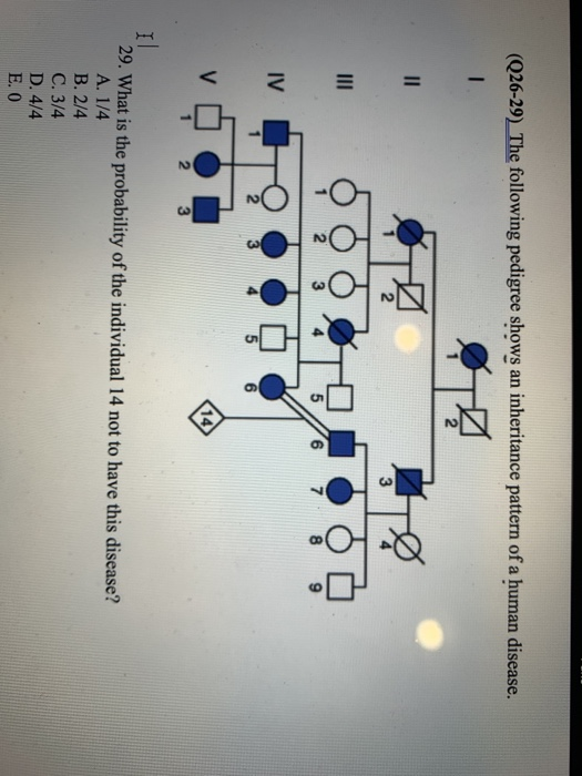 Solved (Q26-29) The following pedigree shows an inheritance | Chegg.com