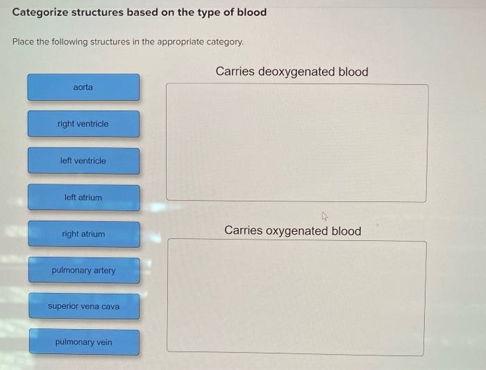 Solved Categorize structures based on the type of blood