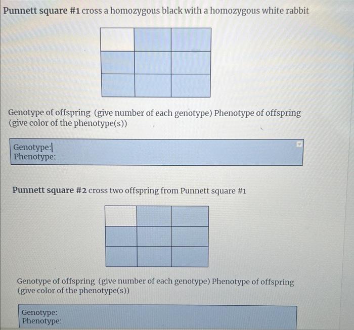 Solved Complete The Following Punnett Squares Please Note Chegg Com