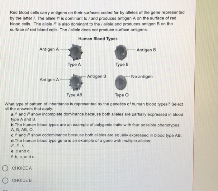 Solved Red blood cells carry antigens on their surfaces | Chegg.com