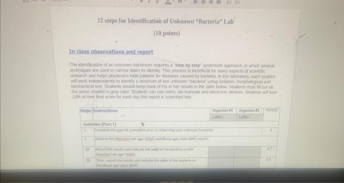 Solved 12 steps for Identification of Unknown "Bacteria" Lab | Chegg.com