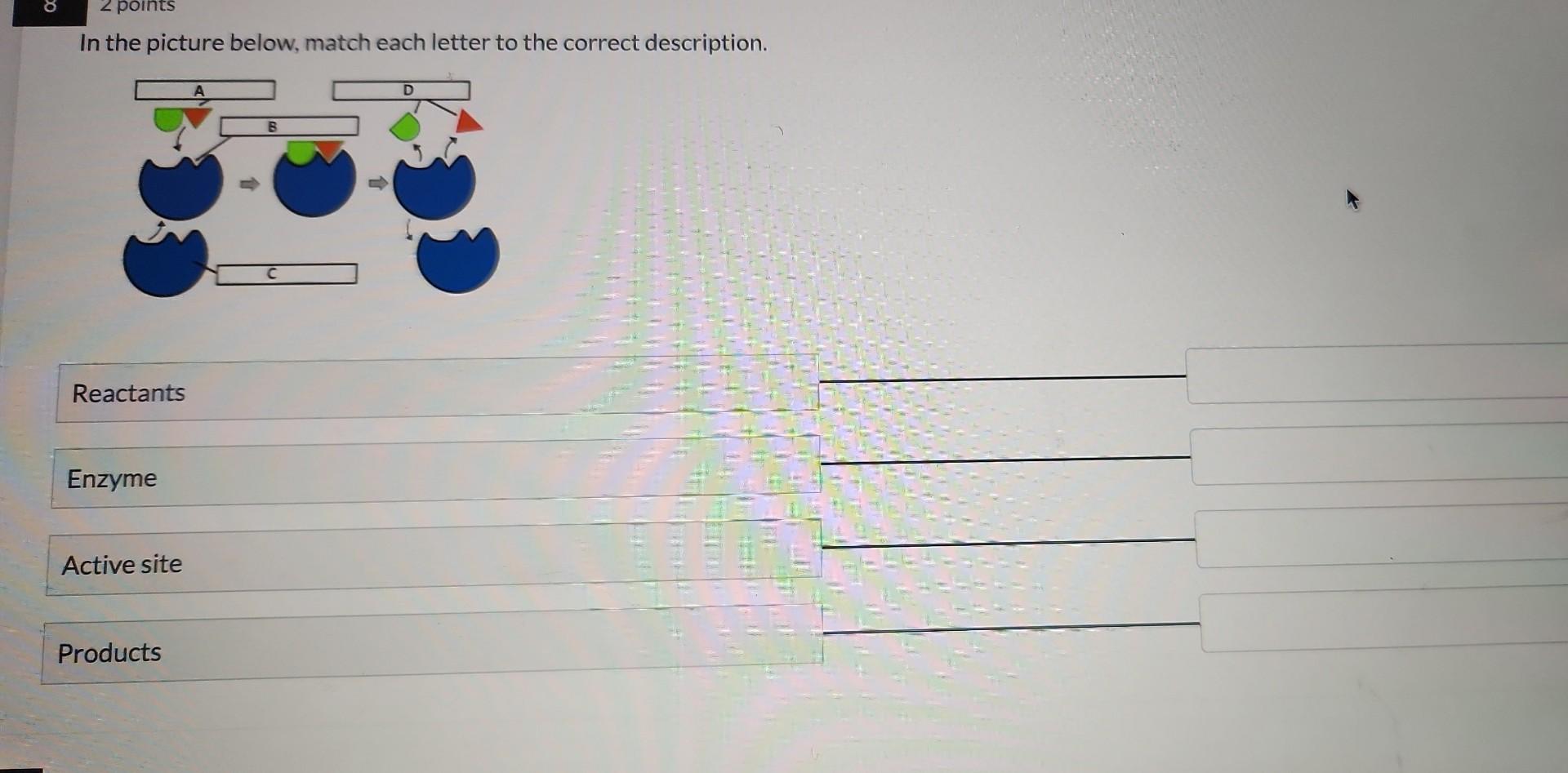 Solved In the picture below, match each letter to the | Chegg.com