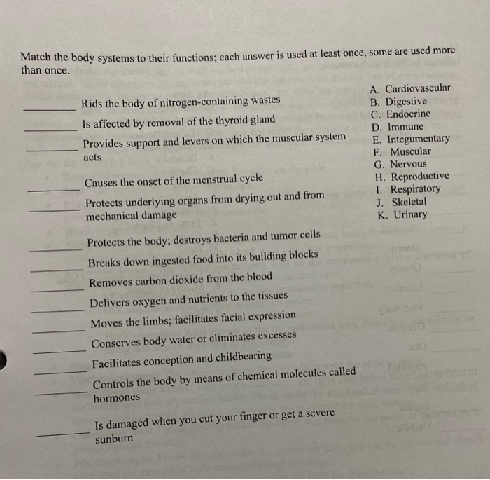 Solved Match the body systems to their functions; each | Chegg.com