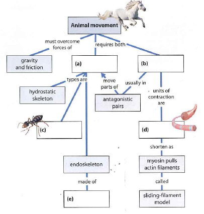 Campbell biology 7th edition outline