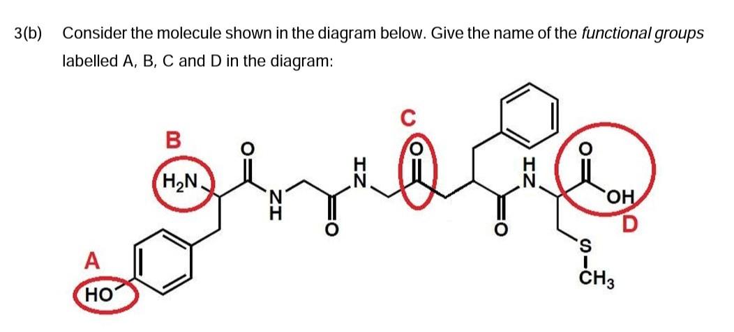 Solved 3(b) Consider The Molecule Shown In The Diagram | Chegg.com