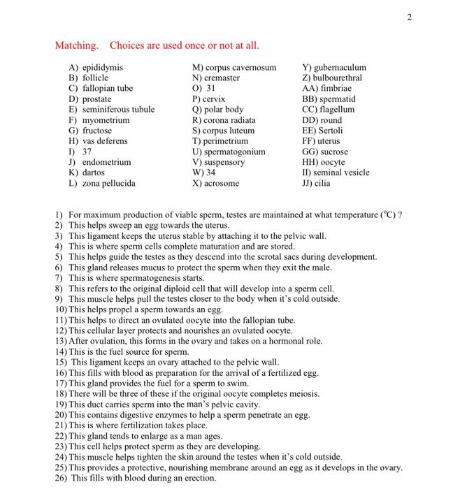 Solved 2 Matching Choices Are Used Once Or Not At All A Chegg Com