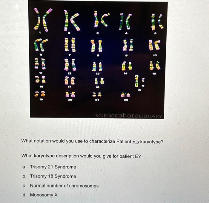 Solved What notation would you use to characterize Patient | Chegg.com