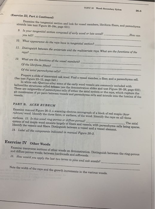 Solved TOPIC 26 Wood Secondary Xylem (Exercise III, Part A | Chegg.com