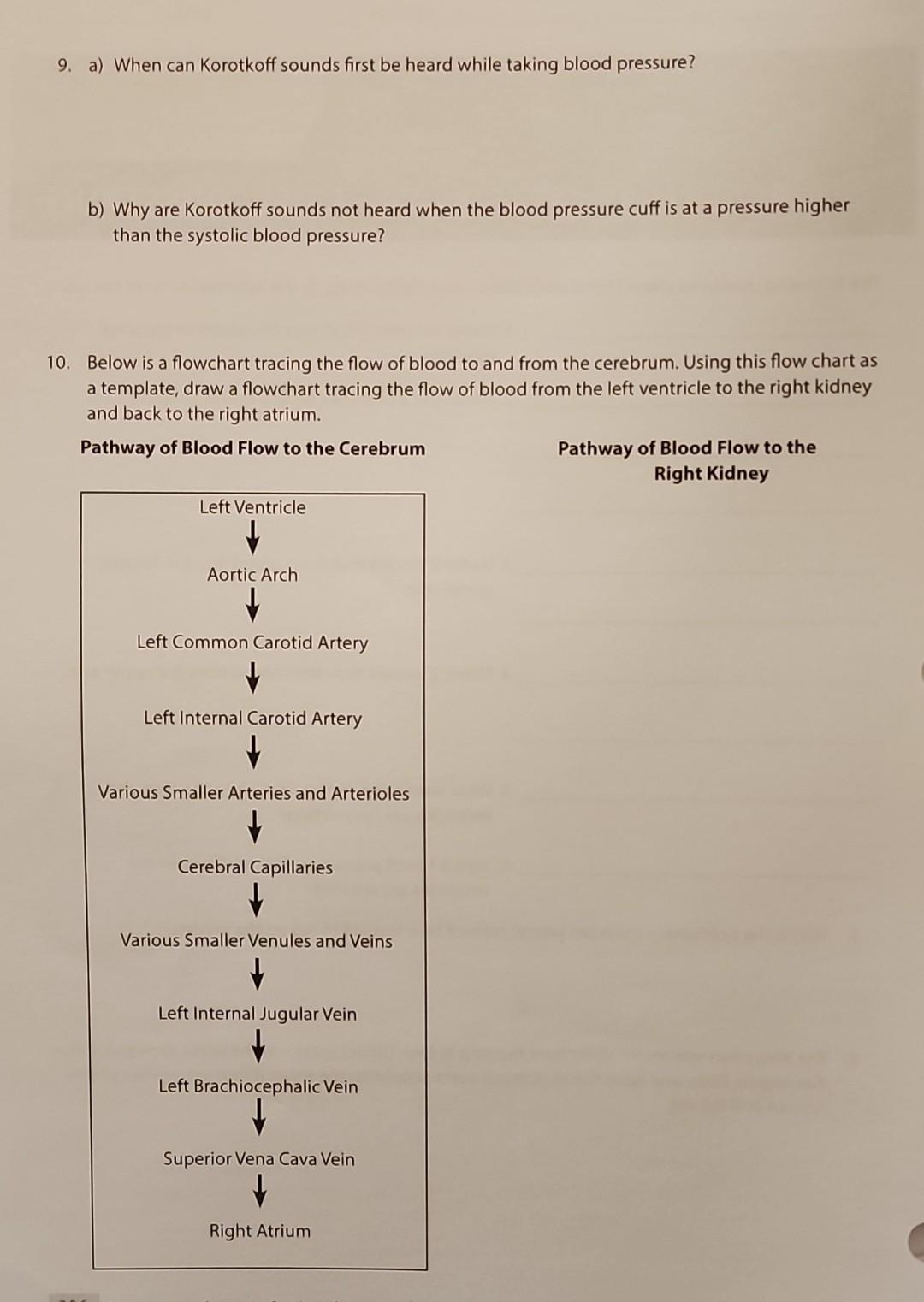 Solved CIRCULATORY SYSTEM LAB REVIEW QUESTIONS The following