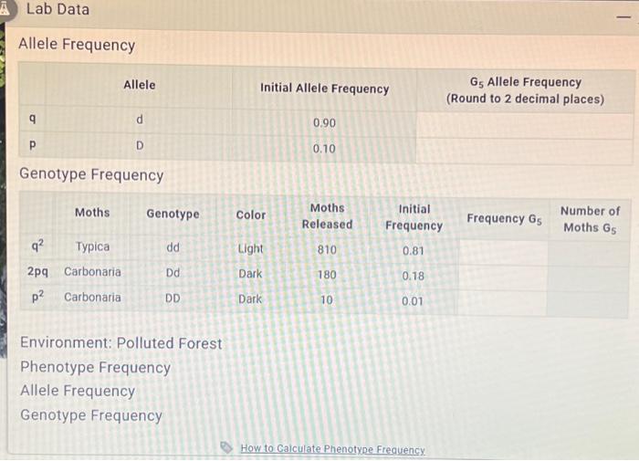 Solved ALab Data Environment Clean Forest Typica Carbonaria