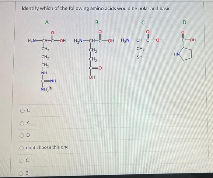 Solved Identify Which Of The Following Amino Acids Would Be | Chegg.com