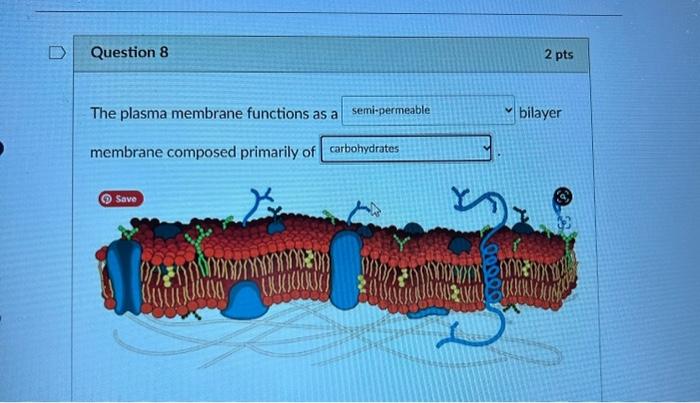 Solved The plasma membrane functions as a bilayer membrane | Chegg.com