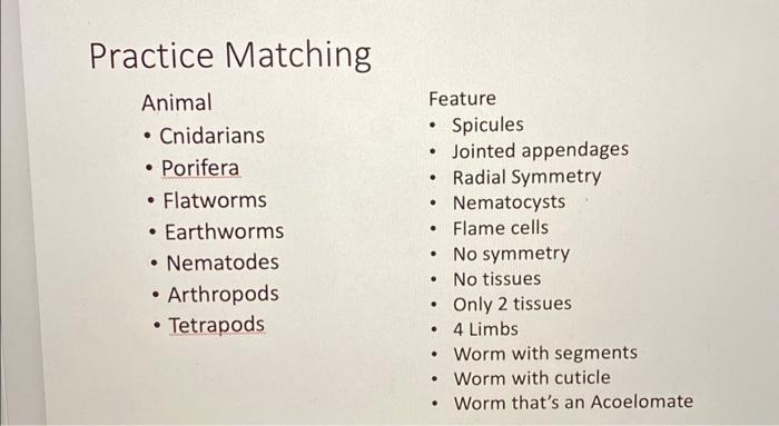 Practice Matching
Animal
Feature
- Cnidarians
- Spicules
- Jointed appendages
- Porifera
- Radial Symmetry
- Flatworms
- Nema