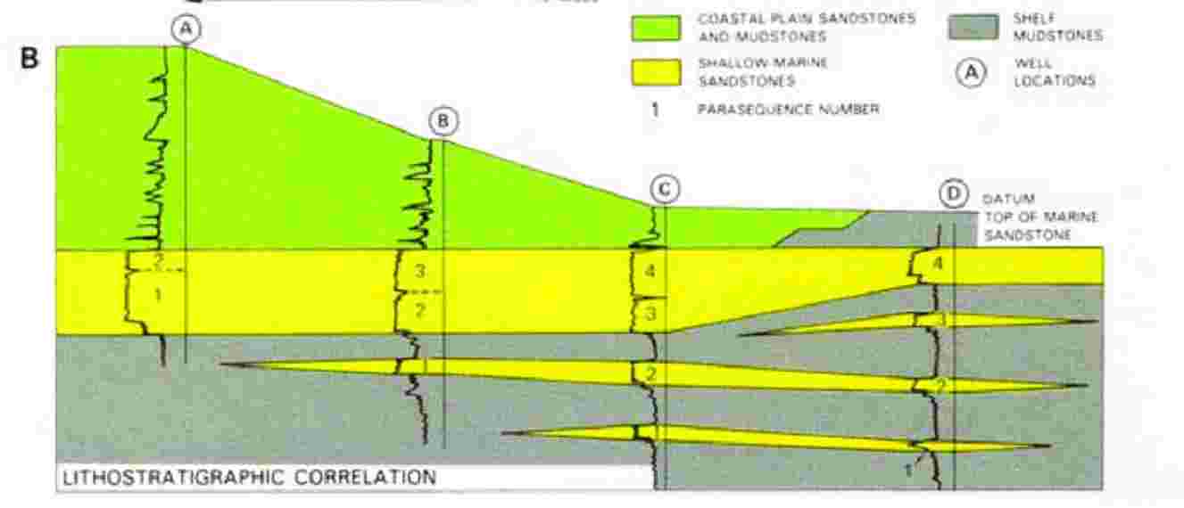 Solved a) ﻿What was the basis of your correlations? i.e. | Chegg.com
