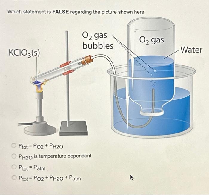 Solved Which statement is FALSE regarding the picture shown | Chegg.com