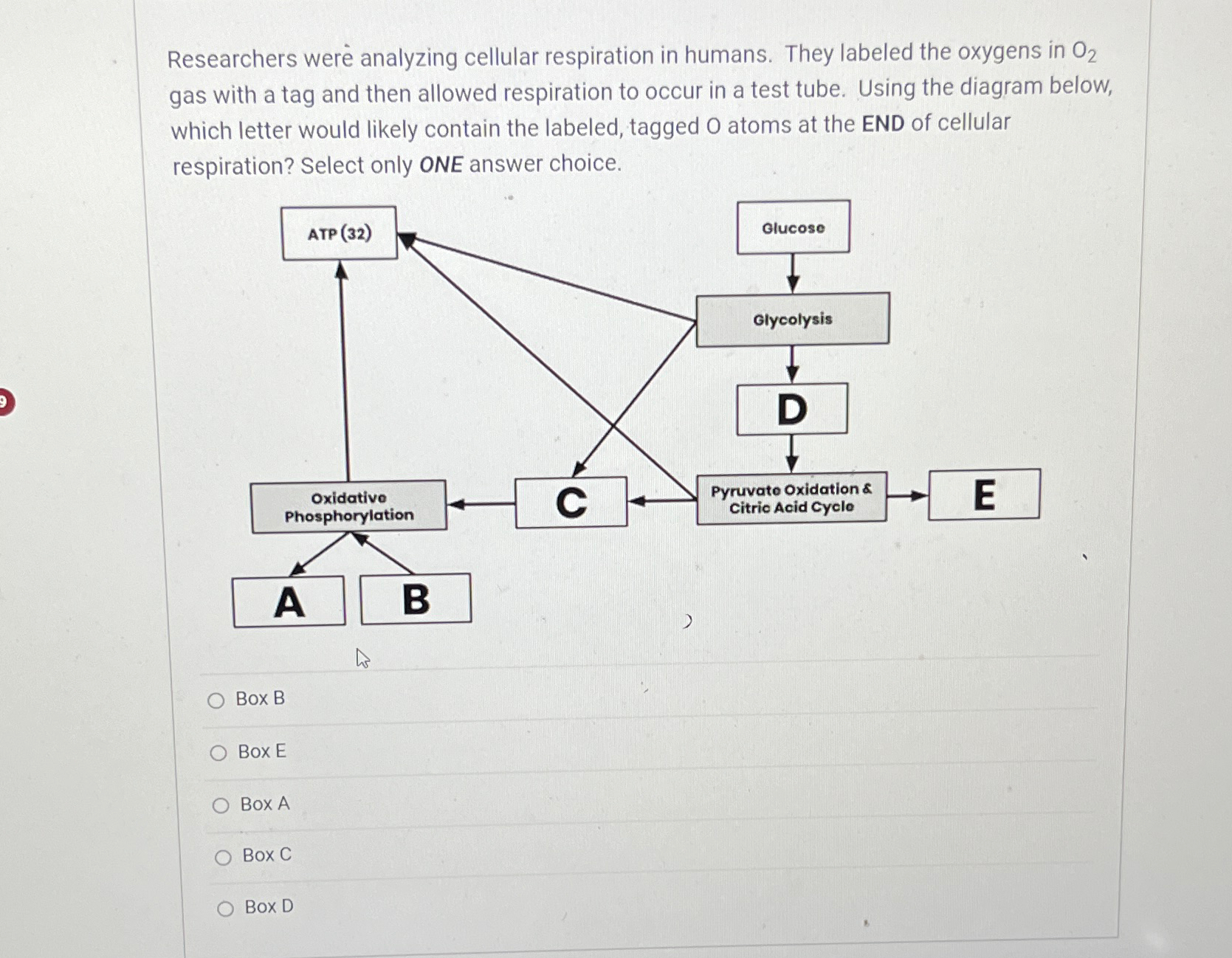 Solved Researchers were analyzing cellular respiration in | Chegg.com