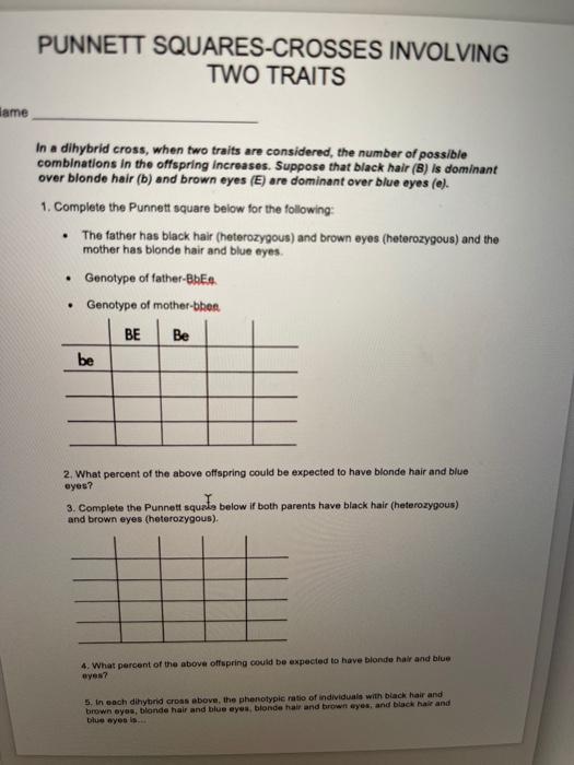 solved-punnett-squares-crosses-involving-two-traits-lame-in-chegg