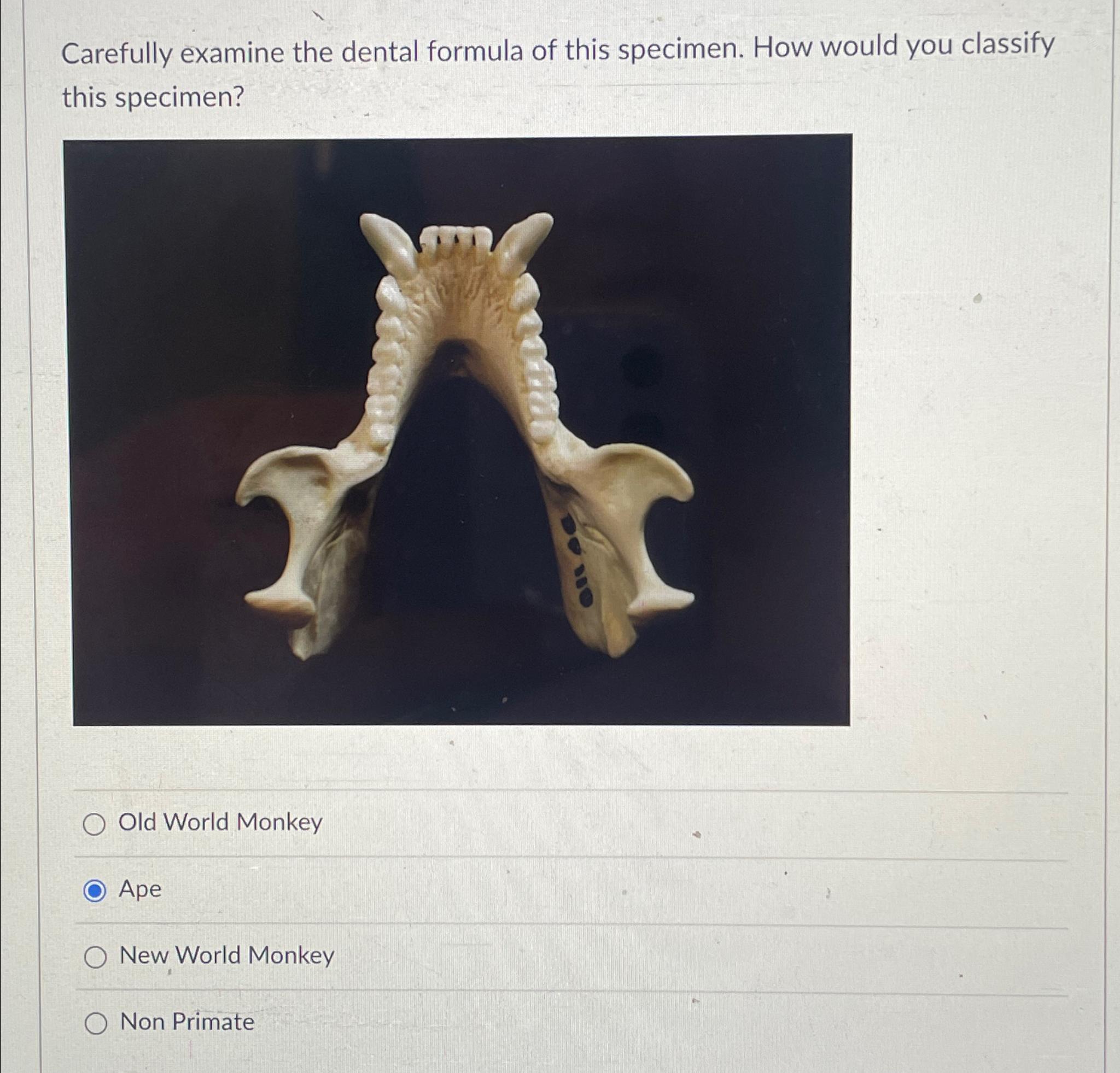 Primate Dental Formulas: A Complete Guide For Students - 89s56r1
