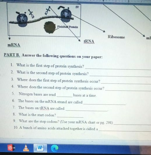 Solved PROTEIN SYNTHESIS WORKSHEET PART A. Read the | Chegg.com