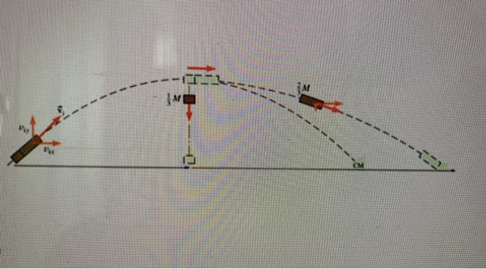 Solved A model rocket was launched into parabolic orbit | Chegg.com