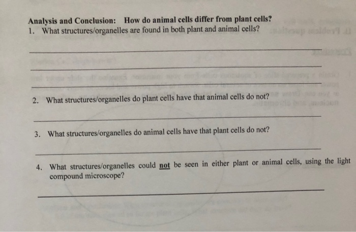 Mitochondria introduction image