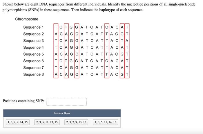 Solved Shown below are eight DNA sequences from different | Chegg.com