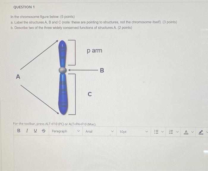 Solved QUESTION 1 In The Chromosome Figure Below: (5 Points) | Chegg.com