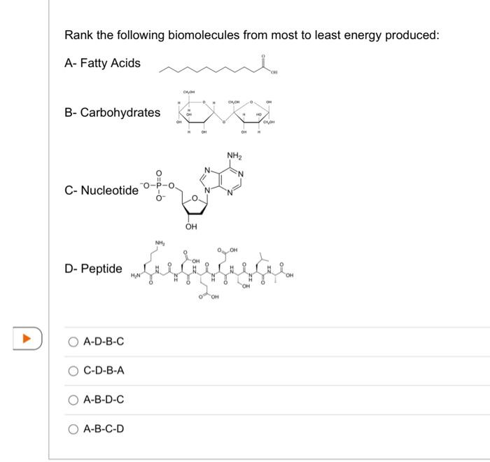 Solved Rank The Following Biomolecules From Most To Least | Chegg.com