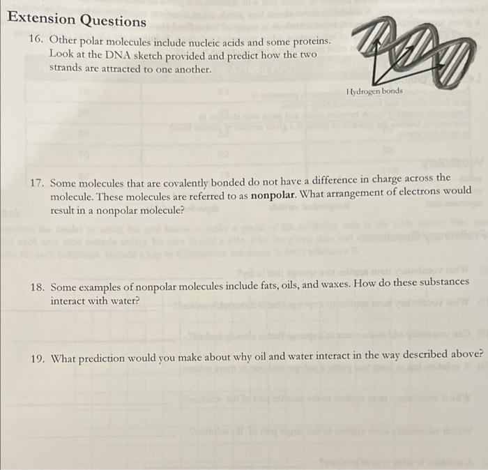 solved-extension-questions-16-other-polar-molecules-include-chegg