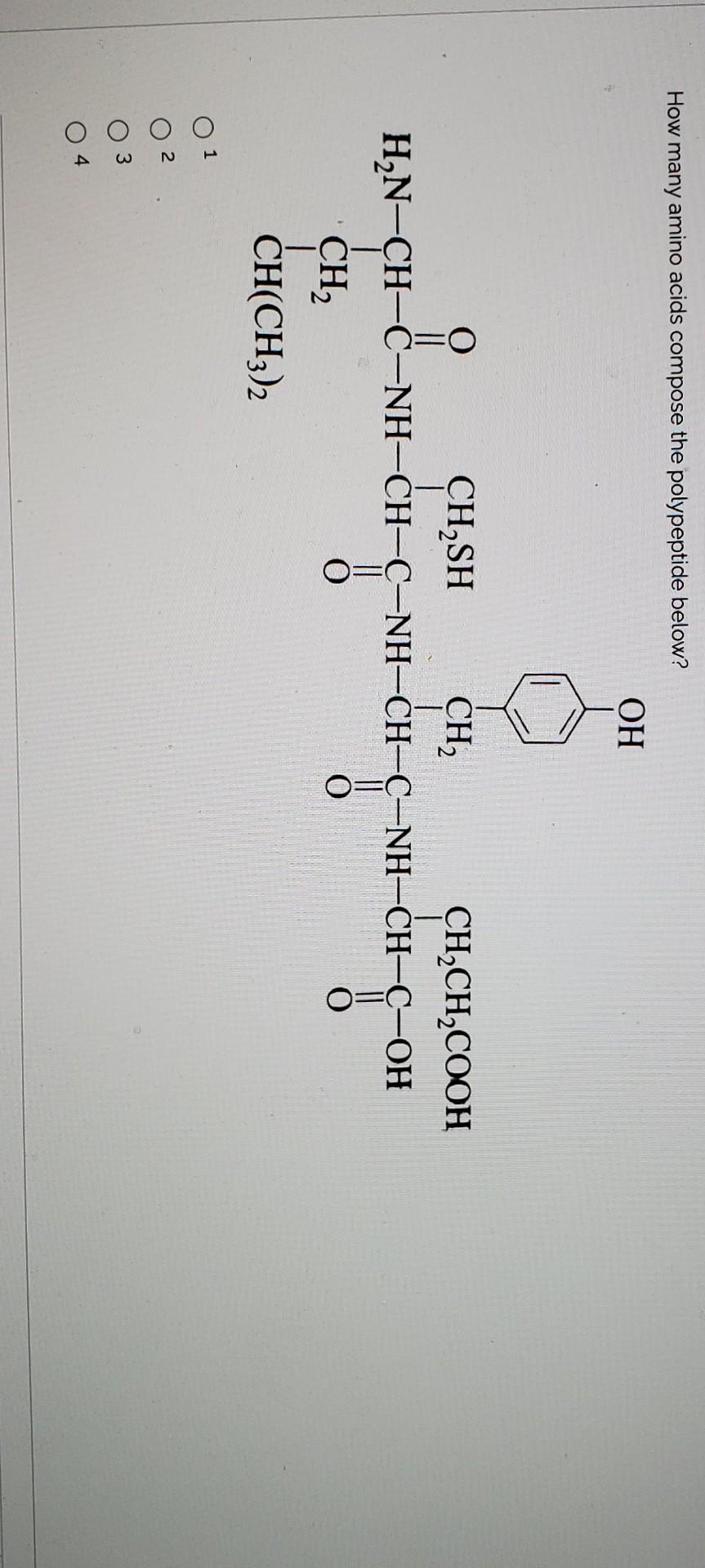 Solved How many amino acids compose the polypeptide below? | Chegg.com