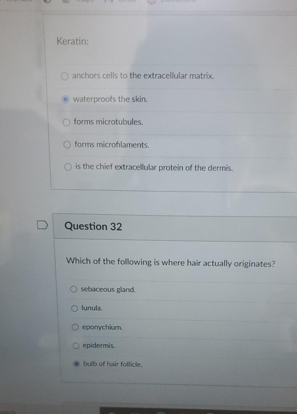 Solved Keratin O anchors cells to the extracellular matrix.