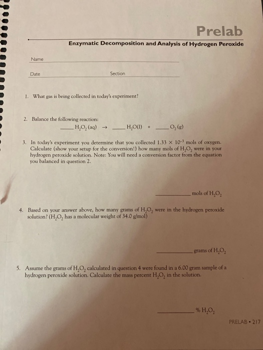 B01 Prelab Enzymatic Deposition And Analysis Of Chegg 